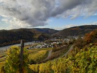 Moseltal Herbst bei Bullay