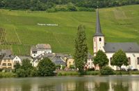 Piesport, Radurlaub, Moselradweg