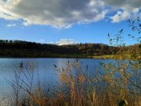 Schalkenmehrener Maar