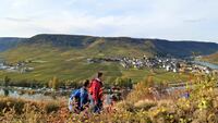 Beilstein Wanderer web