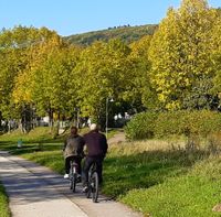 Radfahrer Merl