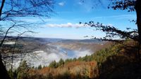 Morgennebel im Herbst an der Mosel