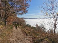 Sonnenschein und Nebelmeer - ein tolles Naturerlebnis