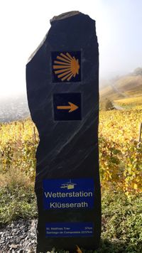 Wegestein Moselcamino mit Weinbergen im Hintergrund